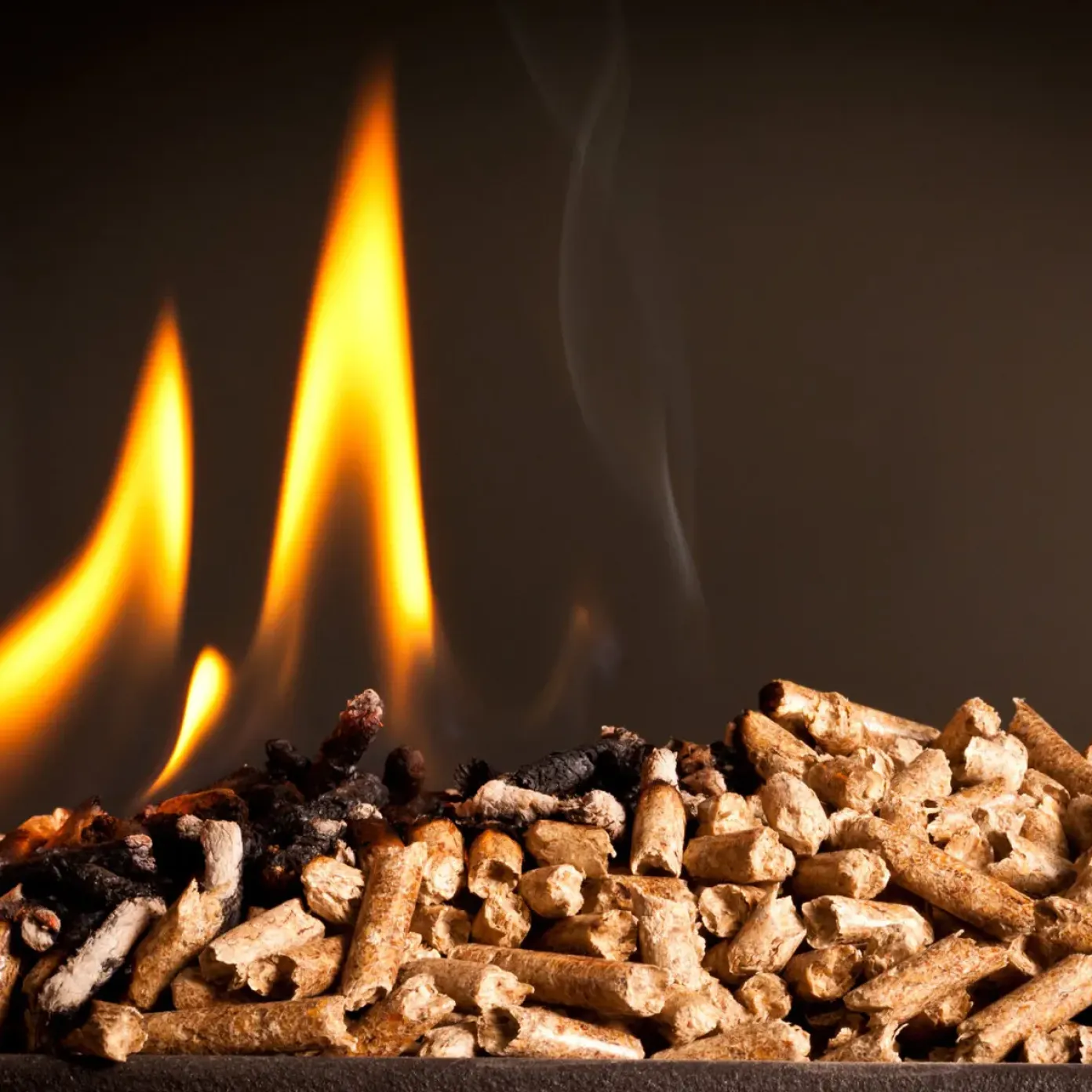 Fuel pellets produced from renewable softwood raw materials